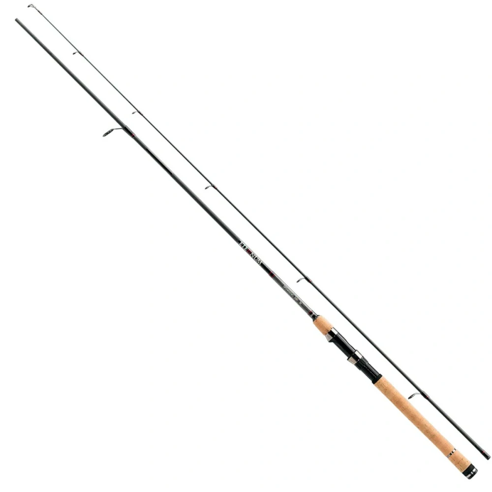 JAXON prút Eternum Spinning 300cm / 20-60g