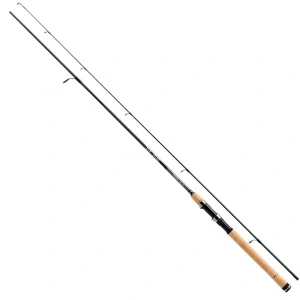 JAXON prút Eternum Spinning 300cm / 20-60g