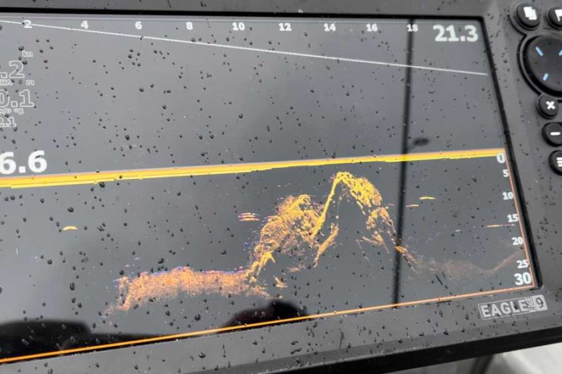 LOWRANCE Sonar EAGLE Eye 9 LIVE