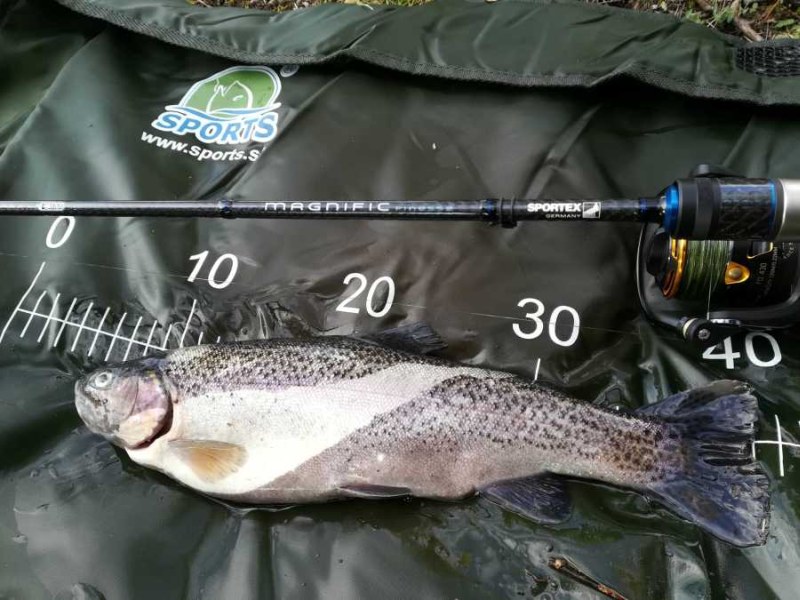 SPORTEX prút Magnific Finesse M 235 cm / 7-23 g